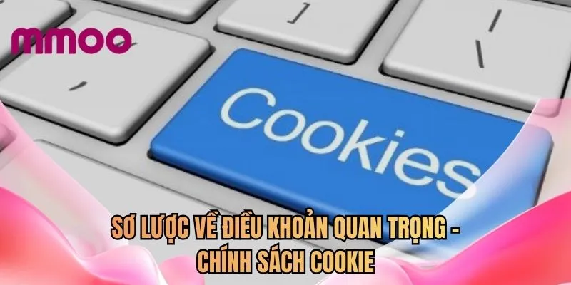 Sơ lược về điều khoản quan trọng - Chính sách cookie